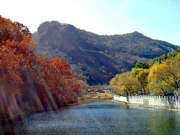 新澳天天开奖资料大全旅游团，神马泛目录